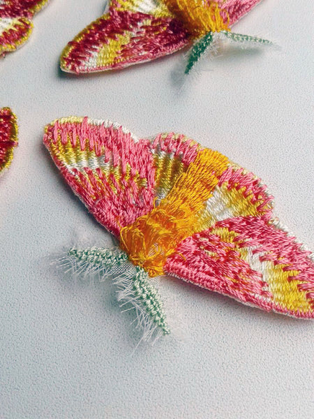 Moks147(p) Set 4 pieces rosy maple moth Embroidered Patches