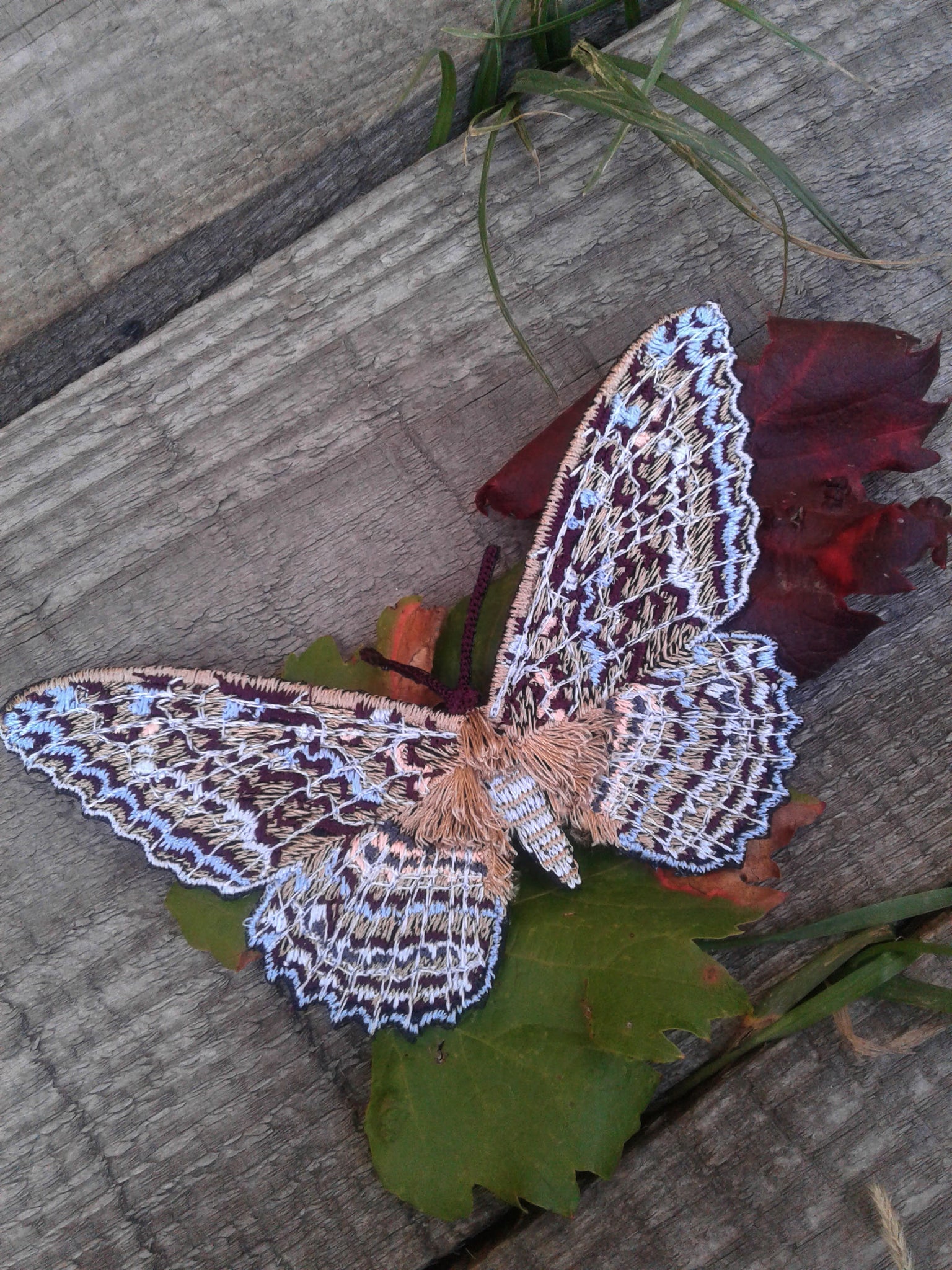 Moks266(p) moth patch, great grey witch